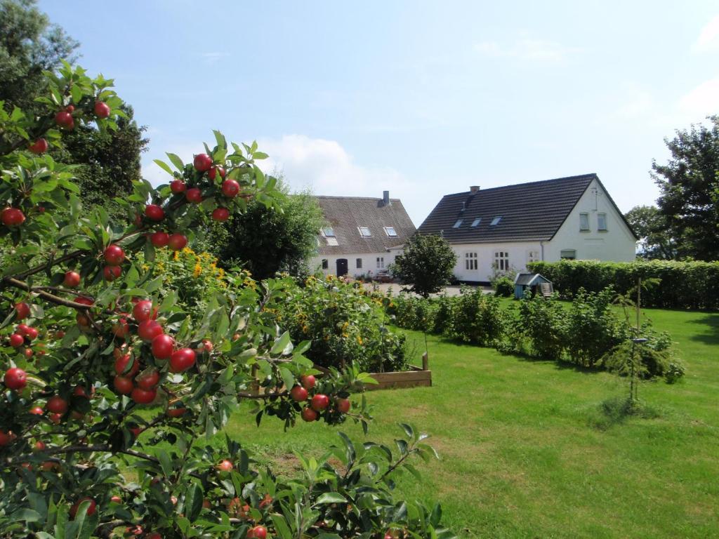 Ruhetgaard Holiday Apartment Ærøskøbing Ruang foto